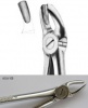 Extracting forceps Berten fig. 18