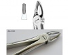 Extracting forceps Berten fig. 2