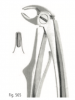 Extracting forceps for children fig. 565