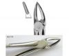 Extracting forceps Berten fig. 30