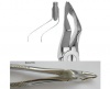 Extracting forceps Berten fig. 31