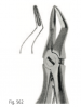 Extracting forceps for children fig. 562