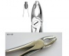 Extracting forceps Berten fig. 34