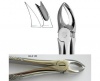 Extracting forceps Berten fig. 89