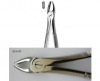 Extracting forceps Berten  fig. 1