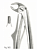 Extracting forceps for children fig. 565