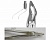 Extracting forceps Berten fig. 31