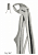 Extracting forceps for children fig. 567