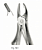 Extracting forceps for children fig. 561