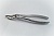 Extracting forceps Berten fig. 51A